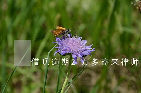 借呗逾期2万多寄来律师函