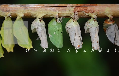 借呗逾期2万第三方说上门
