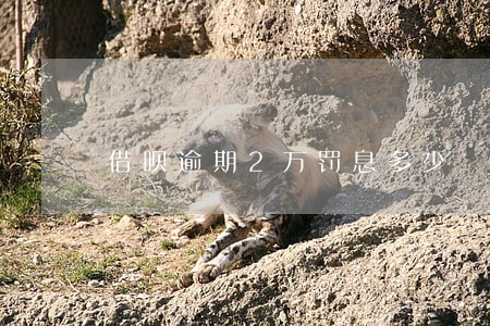 借呗逾期2万罚息多少 借呗逾期2万罚息多少