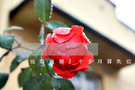 借呗逾期2个多月算失信人吗