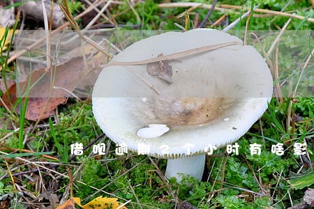 借呗逾期2个小时有啥影响吗