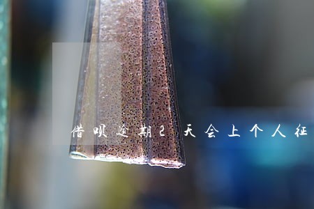 借呗逾期2天会上个人征信吗