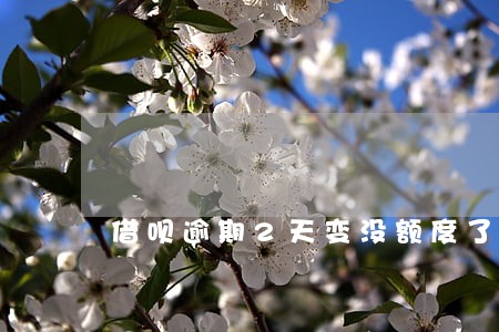 借呗逾期2天变没额度了 借呗逾期2天变没额度了