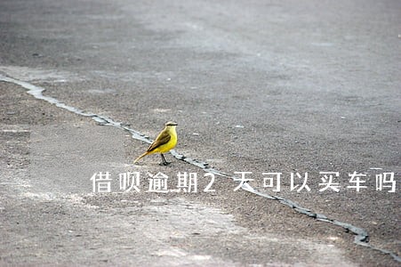 借呗逾期2天可以买车吗 借呗逾期2天可以买车吗