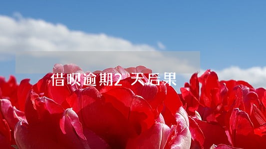 借呗逾期2天后果 借呗逾期2天后果