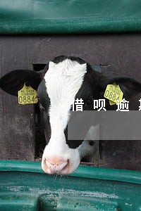 借呗逾期2天备用金还能用吗 借呗逾期2天备用金还能用吗