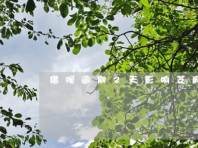 借呗逾期2天影响芝麻分吗 借呗逾期2天影响芝麻分吗