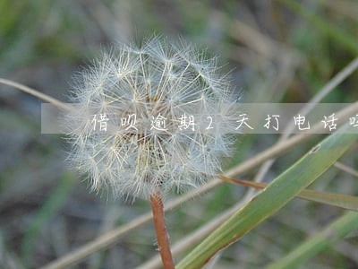 借呗逾期2天打电话吗