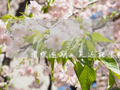 借呗逾期2天还能借款吗 借呗逾期2天还能借款吗