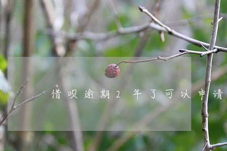借呗逾期2年了可以申请信用卡吗 借呗逾期2年了可以申请信用卡吗