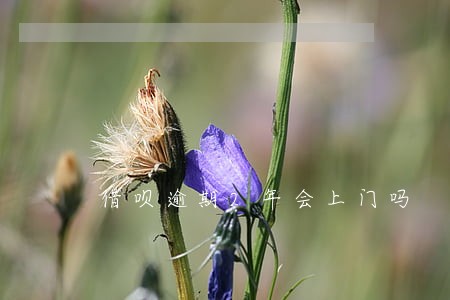 借呗逾期2年会上门吗 借呗逾期2年会上门吗