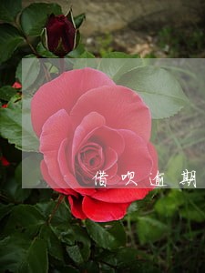 借呗逾期2年打电话来协商了 借呗逾期2年打电话来协商了