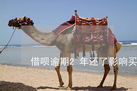 借呗逾期2年还了影响买房吗 借呗逾期2年还了影响买房吗