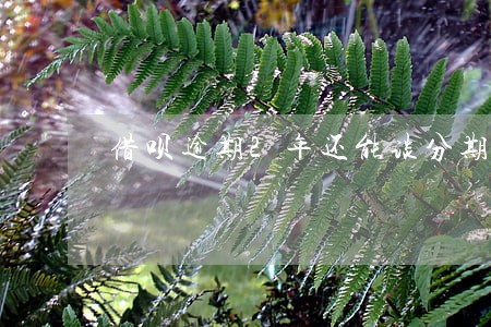 借呗逾期2年还能谈分期吗 借呗逾期2年还能谈分期吗