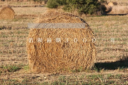 借呗逾期3000一年 借呗逾期3000一年
