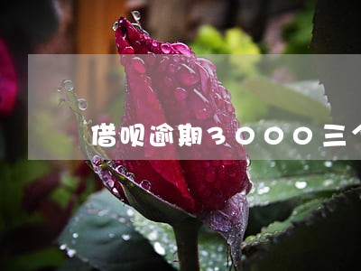 借呗逾期3000三个月 借呗逾期3000三个月