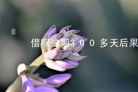 借呗逾期300多天后果严重吗 借呗逾期300多天后果严重吗