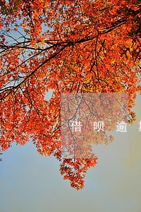 借呗逾期300多天算呆账吗 借呗逾期300多天算呆账吗