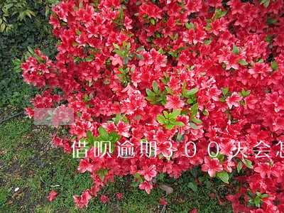 借呗逾期300天会怎么样 借呗逾期300天会怎么样