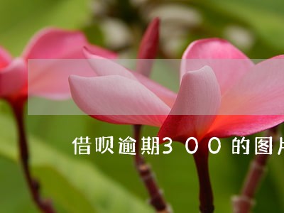 借呗逾期300的图片真实 借呗逾期300的图片真实