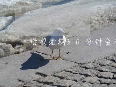 借呗逾期30分钟会有什么后果 借呗逾期30分钟会有什么后果
