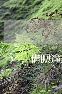 借呗逾期30天后果 借呗逾期30天后果