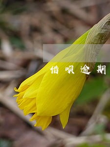 借呗逾期30天还能恢复吗 借呗逾期30天还能恢复吗