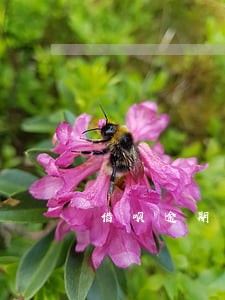 借呗逾期3个可以贷款买房吗 借呗逾期3个可以贷款买房吗