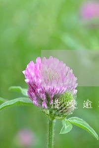 借呗逾期3个小时怎么办 借呗逾期3个小时怎么办