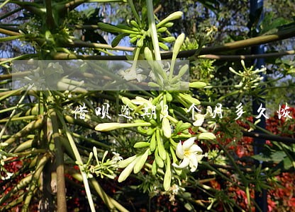 借呗逾期3个月多久恢复 借呗逾期3个月多久恢复
