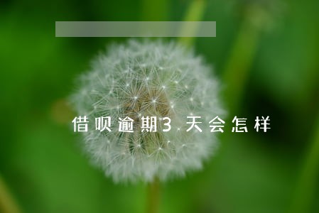 借呗逾期3天会怎样 借呗逾期3天会怎样