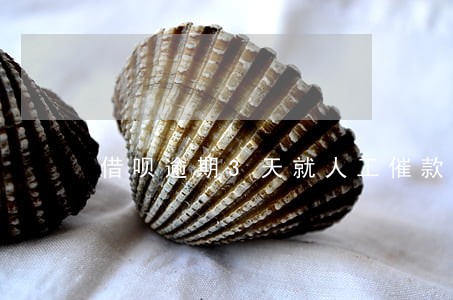 借呗逾期3天就人工催款 借呗逾期3天就人工催款