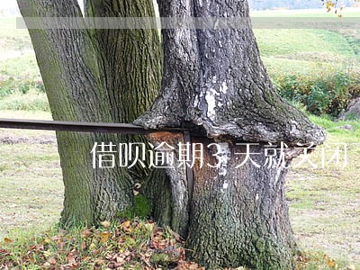 借呗逾期3天就关闭了吗 借呗逾期3天就关闭了吗