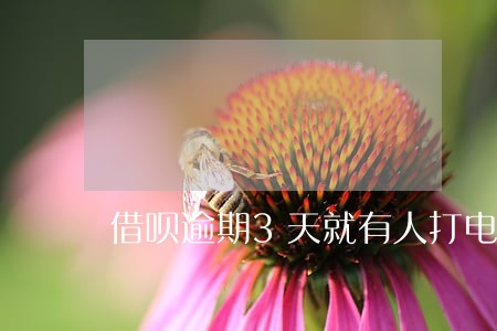 借呗逾期3天就有人打电话