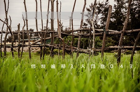 借呗逾期3天罚息043 借呗逾期3天罚息043