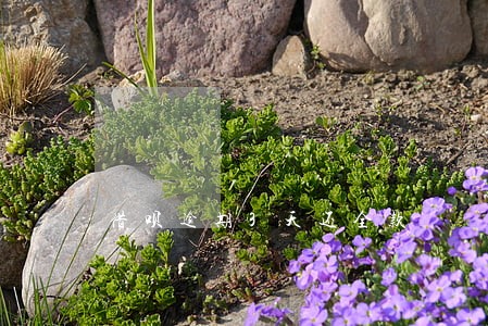 借呗逾期3天还全款