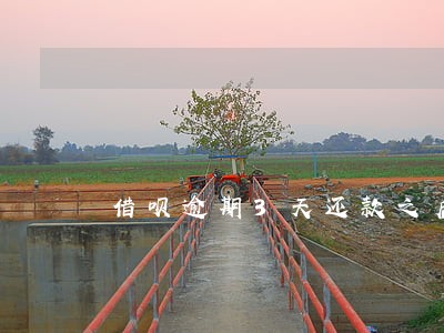 借呗逾期3天还款之后多久能恢复