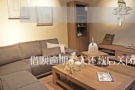 借呗逾期3天还款后关闭了 借呗逾期3天还款后关闭了