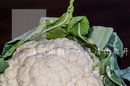 借呗逾期3天还清还能开通吗 借呗逾期3天还清还能开通吗