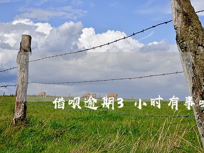借呗逾期3小时有事吗 借呗逾期3小时有事吗