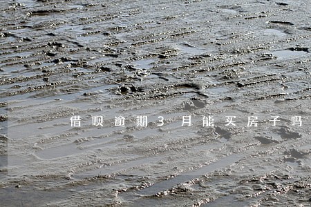 借呗逾期3月能买房子吗 借呗逾期3月能买房子吗