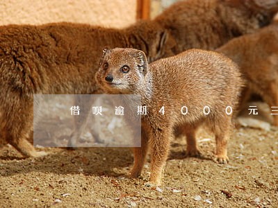 借呗逾期4000元三年了 借呗逾期4000元三年了