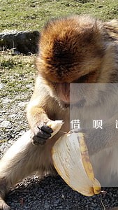 借呗逾期40会打电话黑家里人吗 借呗逾期40会打电话黑家里人吗