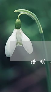 借呗逾期40天会打电话给家人吗 借呗逾期40天会打电话给家人吗