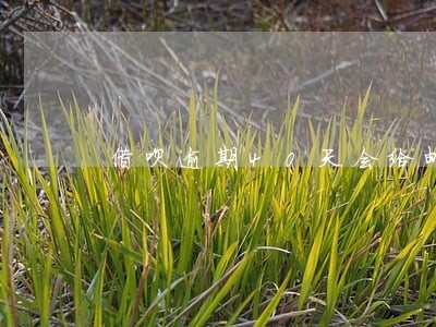 借呗逾期40天会给邮寄信封吗 借呗逾期40天会给邮寄信封吗