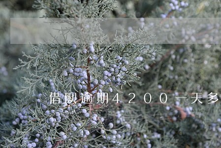 借呗逾期4200一天多少罚息