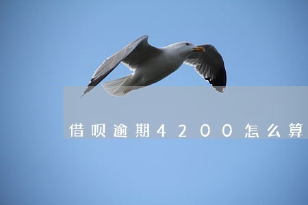借呗逾期4200怎么算罚息