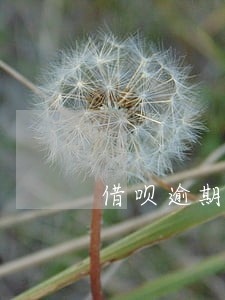 借呗逾期43天后果