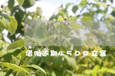 借呗逾期4500立案 借呗逾期4500立案