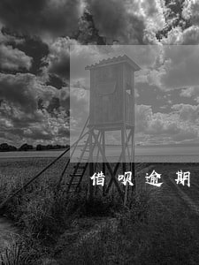 借呗逾期45天没事吧 借呗逾期45天没事吧